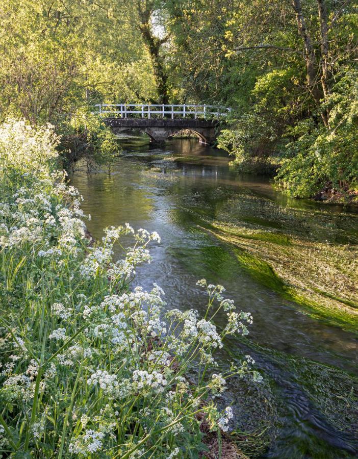 The Queen'S Head At Broad Chalke Ξενοδοχείο Εξωτερικό φωτογραφία